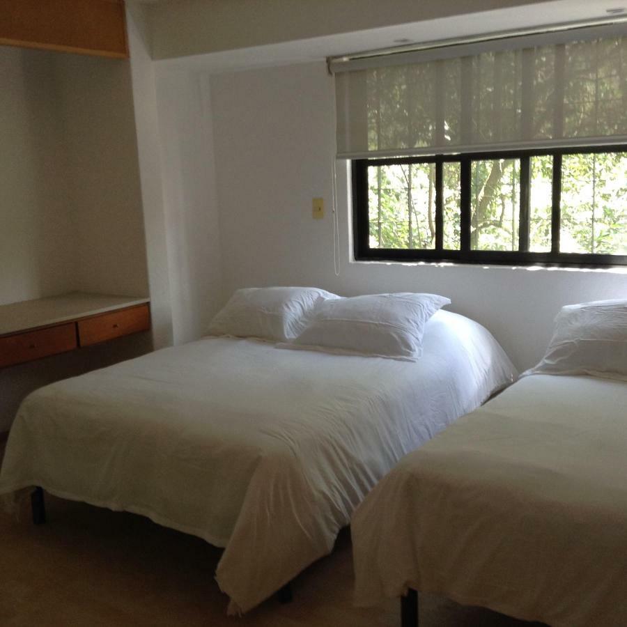 Lovely Apartment Ahuehuetes 墨西哥城 外观 照片