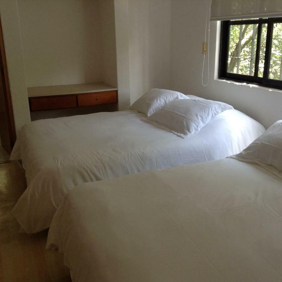 Lovely Apartment Ahuehuetes 墨西哥城 外观 照片