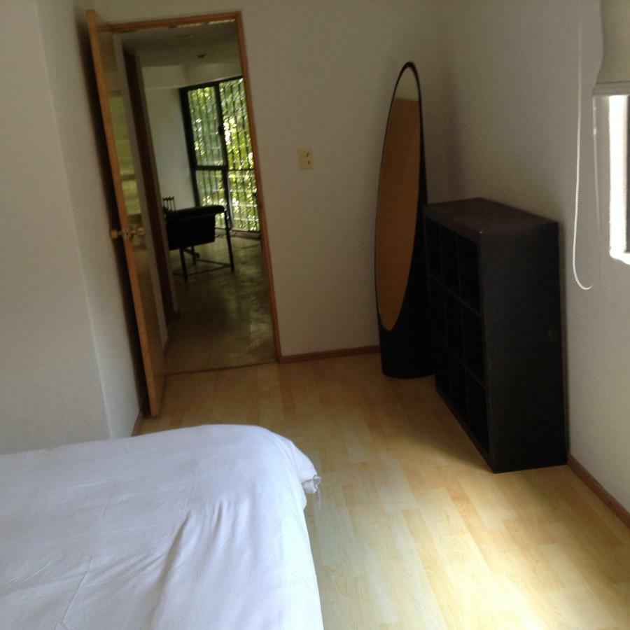 Lovely Apartment Ahuehuetes 墨西哥城 外观 照片