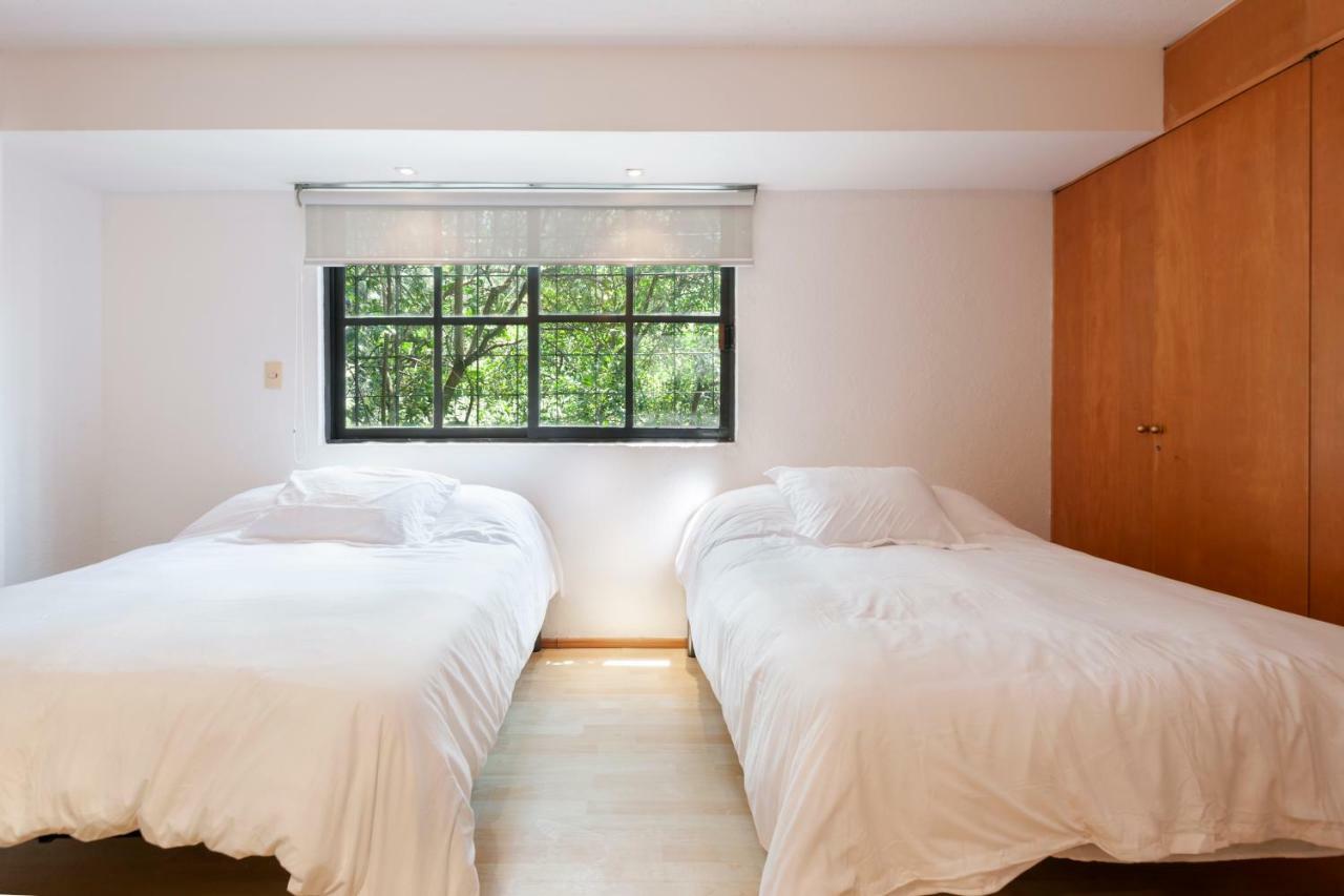 Lovely Apartment Ahuehuetes 墨西哥城 外观 照片
